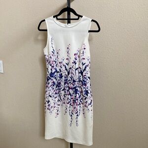 Floral White and Blue Sleeveless Dress